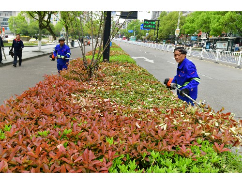 博鱼官方网站：嵊州市园林绿化公司